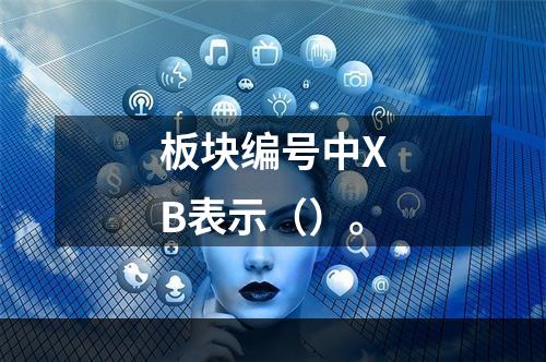 板块编号中XB表示（）。