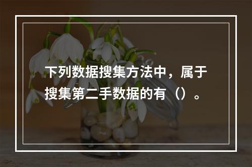 下列数据搜集方法中，属于搜集第二手数据的有（）。