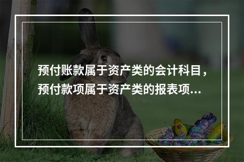 预付账款属于资产类的会计科目，预付款项属于资产类的报表项目。