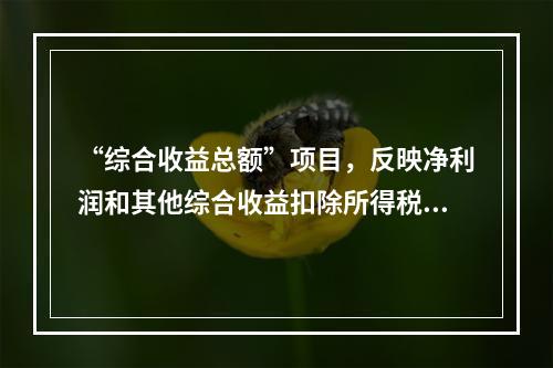 “综合收益总额”项目，反映净利润和其他综合收益扣除所得税影响