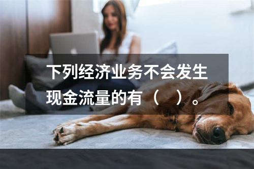 下列经济业务不会发生现金流量的有（　）。