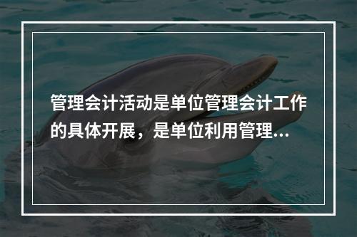 管理会计活动是单位管理会计工作的具体开展，是单位利用管理会计