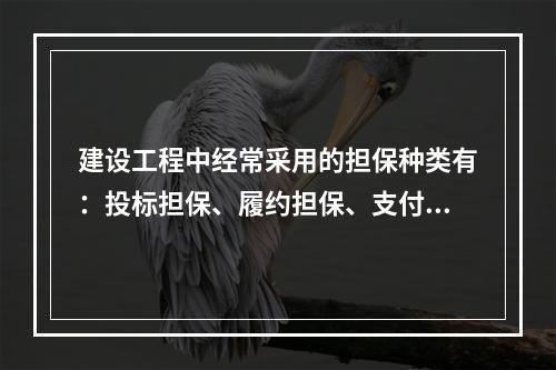 建设工程中经常采用的担保种类有：投标担保、履约担保、支付担保