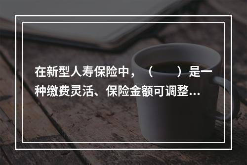 在新型人寿保险中，（　　）是一种缴费灵活、保险金额可调整、非