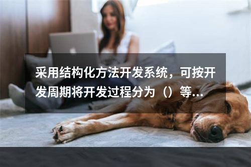 采用结构化方法开发系统，可按开发周期将开发过程分为（）等阶段