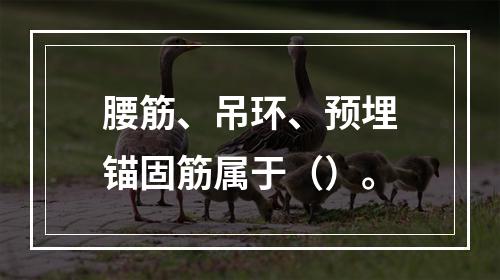 腰筋、吊环、预埋锚固筋属于（）。