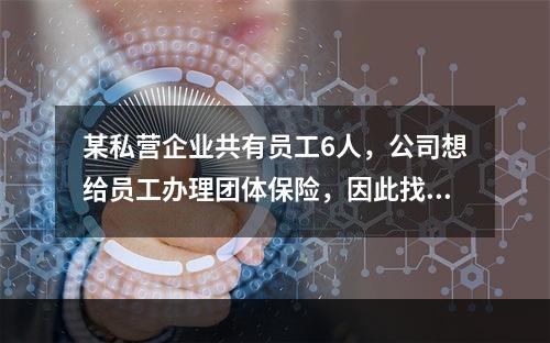 某私营企业共有员工6人，公司想给员工办理团体保险，因此找到某