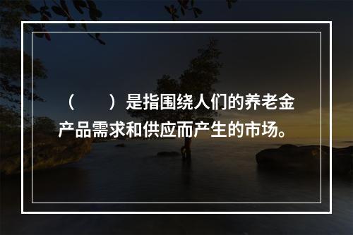 （　　）是指围绕人们的养老金产品需求和供应而产生的市场。