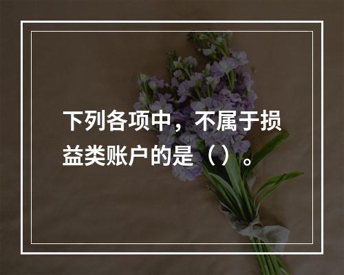 下列各项中，不属于损益类账户的是（ ）。