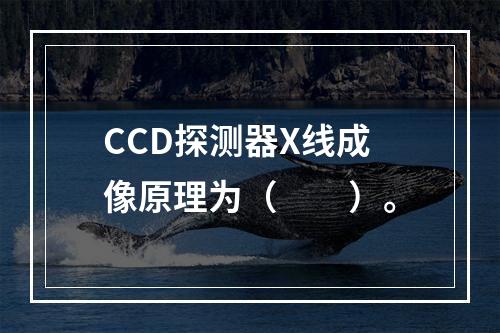 CCD探测器X线成像原理为（　　）。