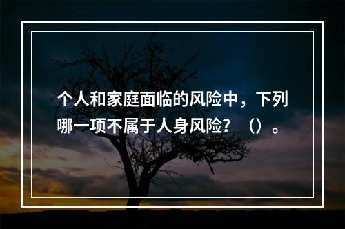 个人和家庭面临的风险中，下列哪一项不属于人身风险？（）。