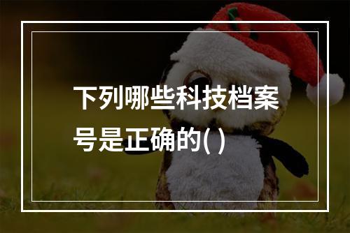 下列哪些科技档案号是正确的( )