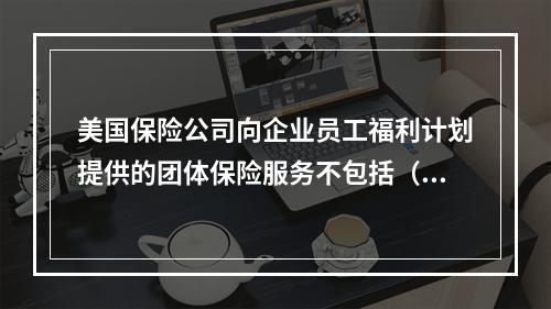 美国保险公司向企业员工福利计划提供的团体保险服务不包括（　　