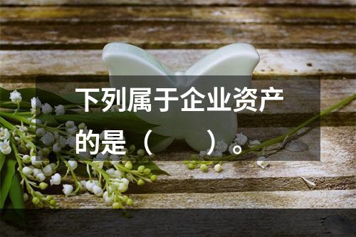 下列属于企业资产的是（　　）。