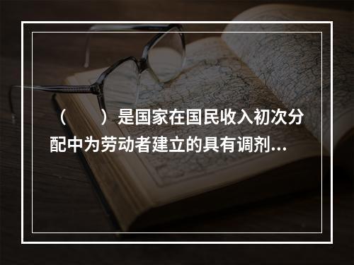 （　　）是国家在国民收入初次分配中为劳动者建立的具有调剂、