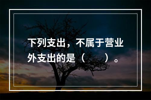 下列支出，不属于营业外支出的是（　　）。