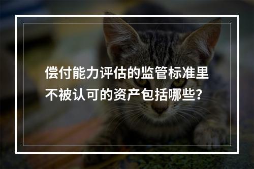 偿付能力评估的监管标准里不被认可的资产包括哪些？