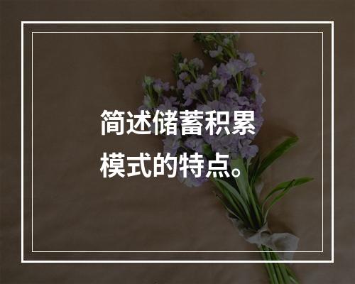 简述储蓄积累模式的特点。