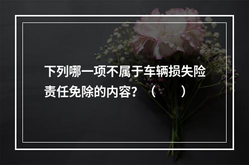 下列哪一项不属于车辆损失险责任免除的内容？（　　）