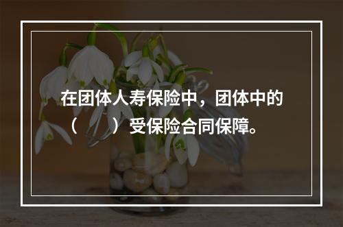 在团体人寿保险中，团体中的（　　）受保险合同保障。