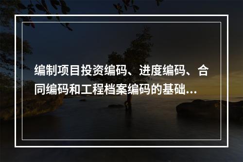 编制项目投资编码、进度编码、合同编码和工程档案编码的基础是（