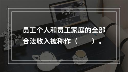 员工个人和员工家庭的全部合法收入被称作（　　）。