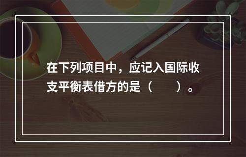 在下列项目中，应记入国际收支平衡表借方的是（　　）。