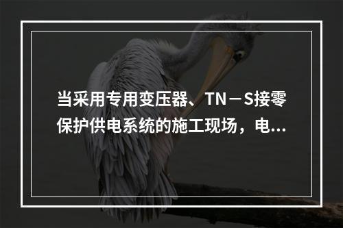 当采用专用变压器、TN－S接零保护供电系统的施工现场，电气设