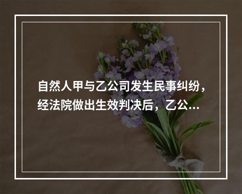 自然人甲与乙公司发生民事纠纷，经法院做出生效判决后，乙公司拒