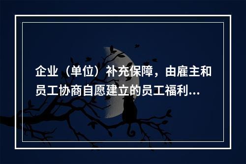 企业（单位）补充保障，由雇主和员工协商自愿建立的员工福利计划