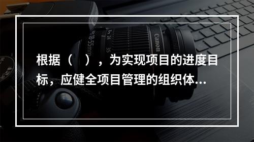 根据（　），为实现项目的进度目标，应健全项目管理的组织体系。