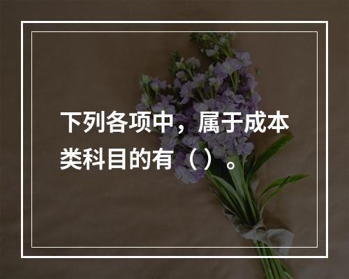 下列各项中，属于成本类科目的有（ ）。