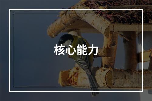 核心能力