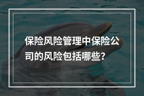 保险风险管理中保险公司的风险包括哪些？