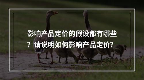 影响产品定价的假设都有哪些？请说明如何影响产品定价？