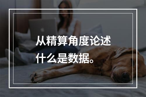 从精算角度论述什么是数据。