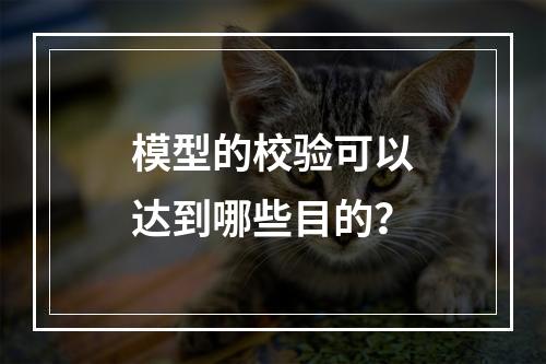 模型的校验可以达到哪些目的？