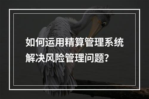 如何运用精算管理系统解决风险管理问题？