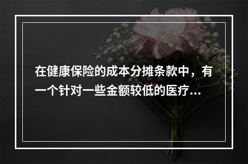 在健康保险的成本分摊条款中，有一个针对一些金额较低的医疗费用