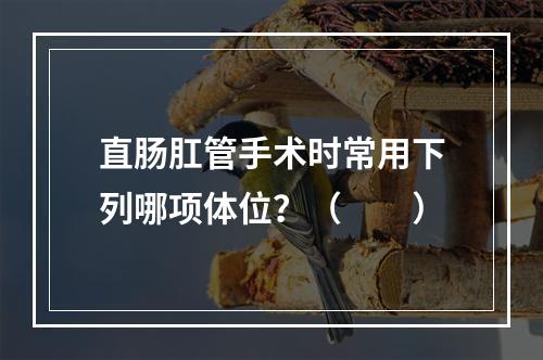 直肠肛管手术时常用下列哪项体位？（　　）