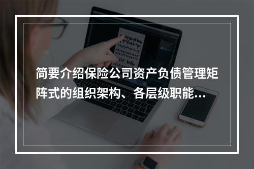 简要介绍保险公司资产负债管理矩阵式的组织架构、各层级职能及这