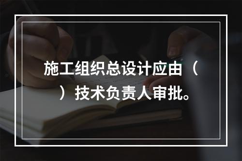 施工组织总设计应由（　）技术负责人审批。