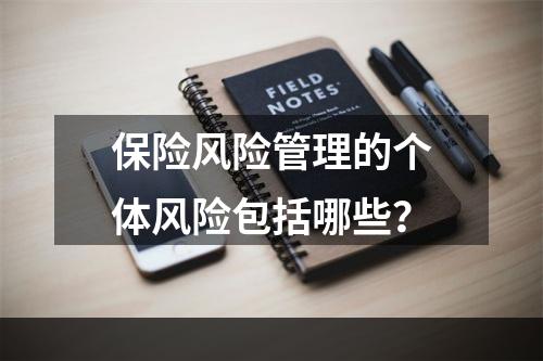 保险风险管理的个体风险包括哪些？