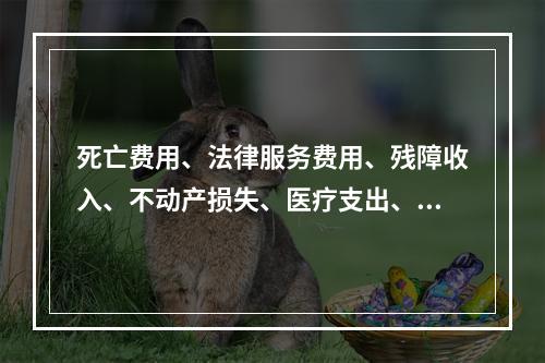 死亡费用、法律服务费用、残障收入、不动产损失、医疗支出、责任