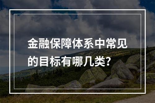 金融保障体系中常见的目标有哪几类？