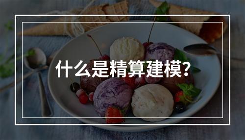 什么是精算建模？