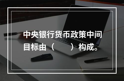 中央银行货币政策中间目标由（　　）构成。