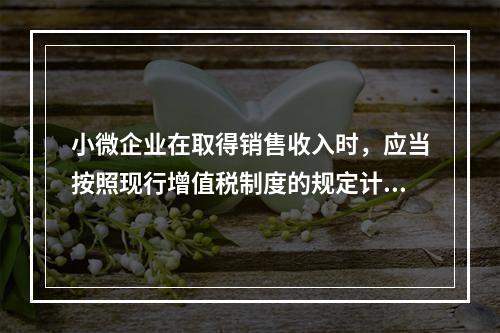 小微企业在取得销售收入时，应当按照现行增值税制度的规定计算应