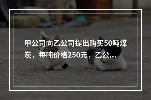 甲公司向乙公司提出购买50吨煤炭，每吨价格250元，乙公司同