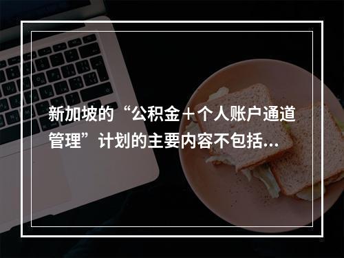 新加坡的“公积金＋个人账户通道管理”计划的主要内容不包括（　